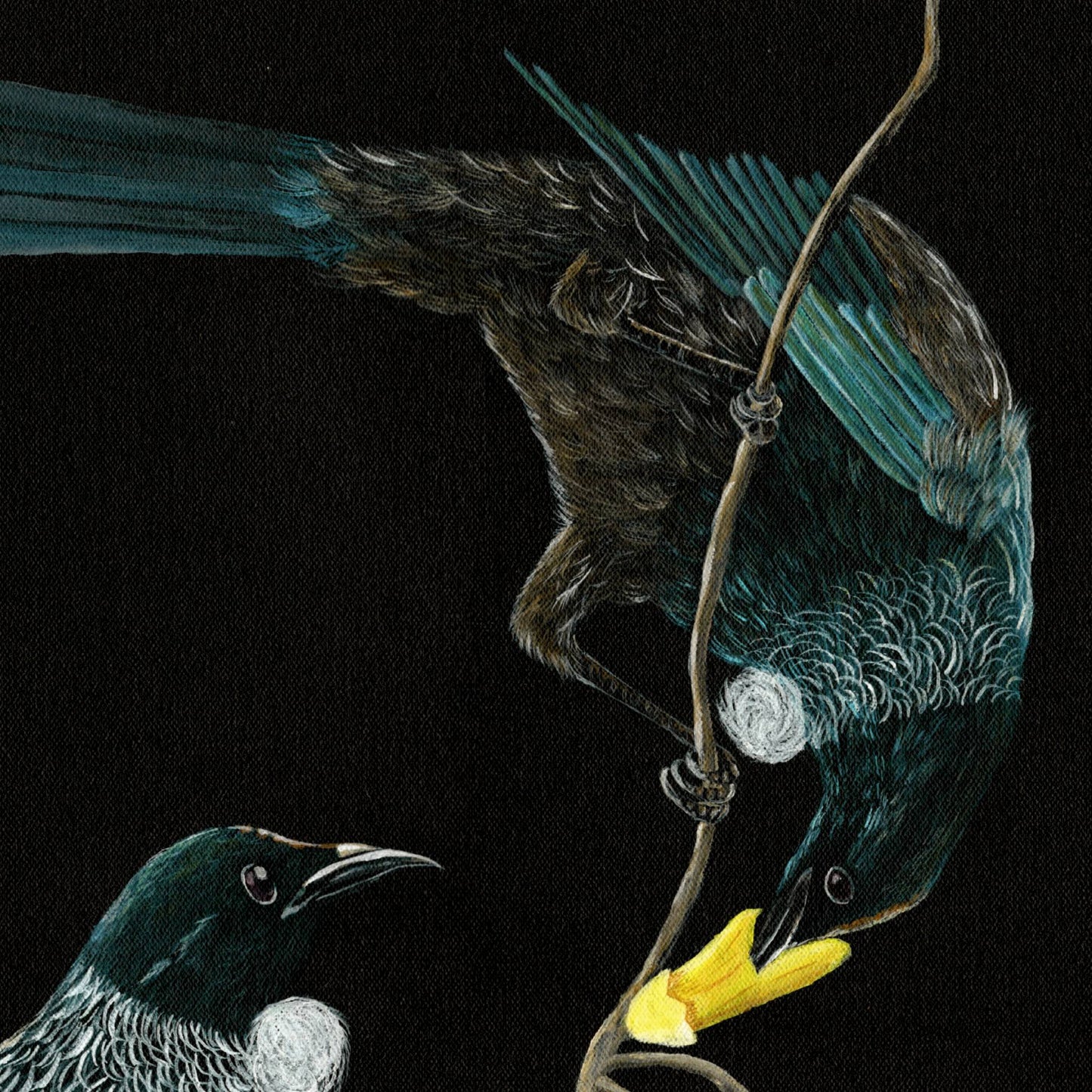 NECTAR- FINE ART PRINT