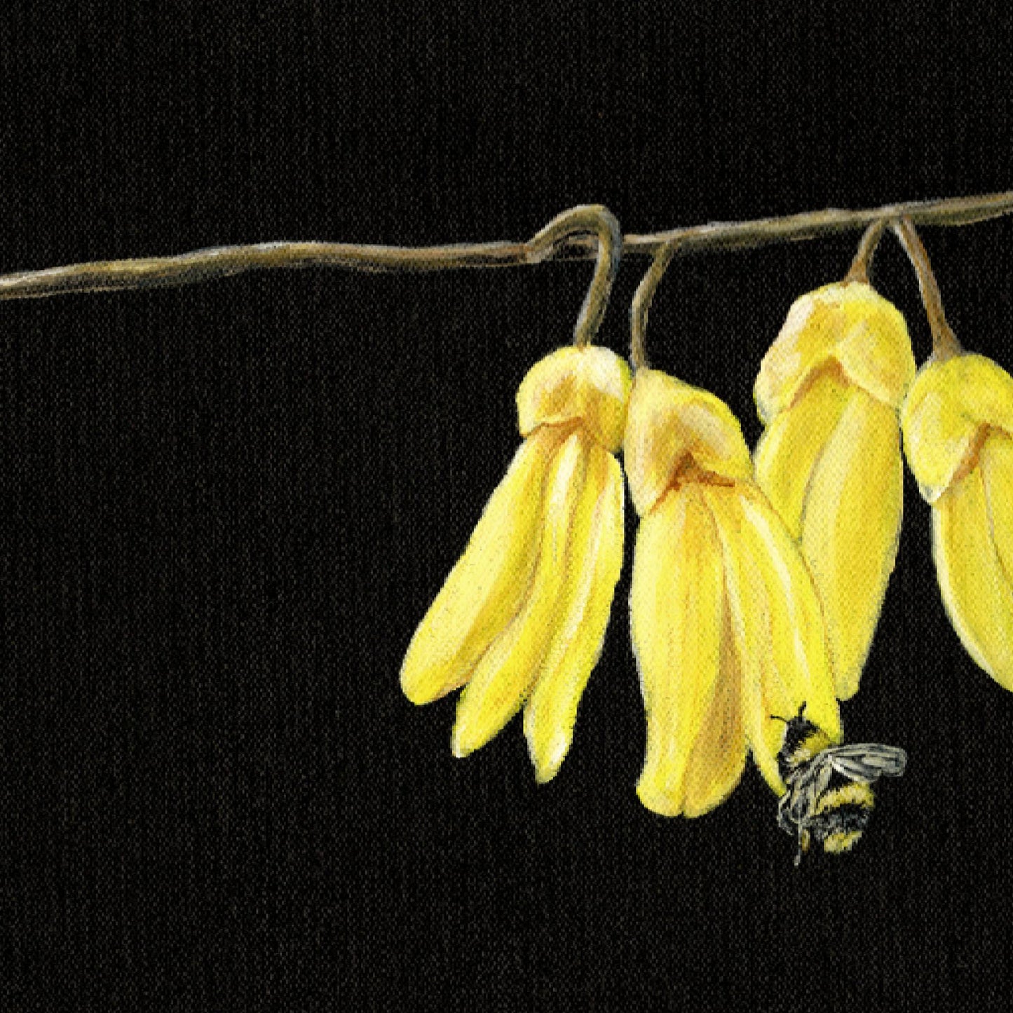 NECTAR- FINE ART PRINT