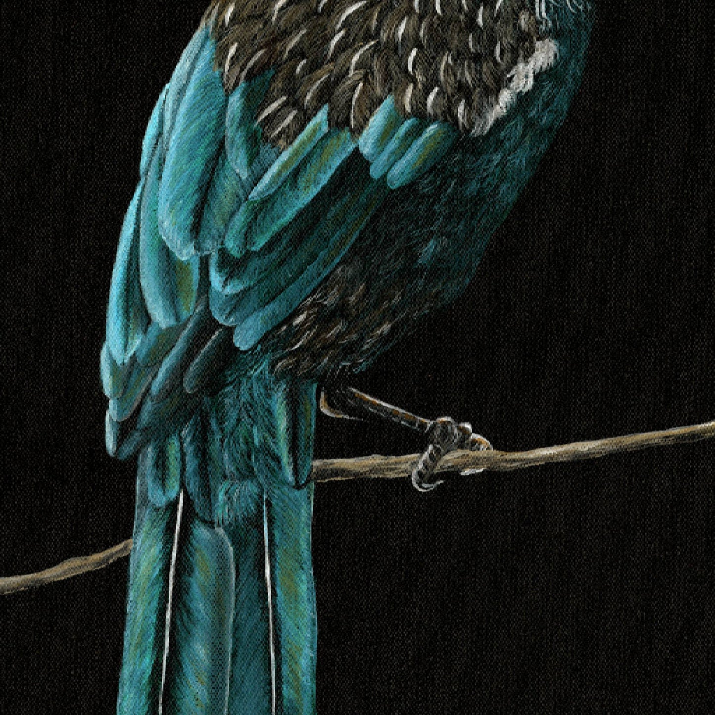 NECTAR- FINE ART PRINT